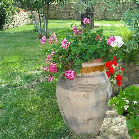 Alojamento de Turismo Rural Luca *